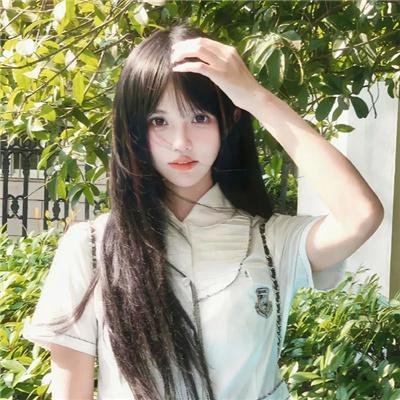 柏林猫咪日记